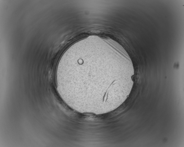 X0000111130568200907211117