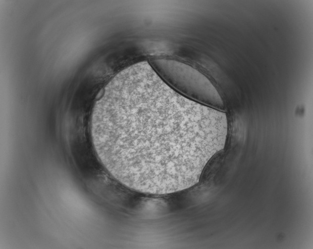 X0000111130572200907211117