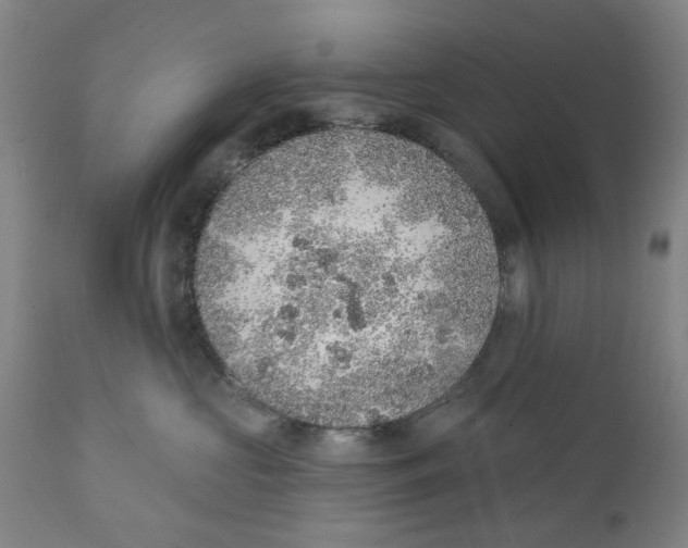 X0000111130573200907211117