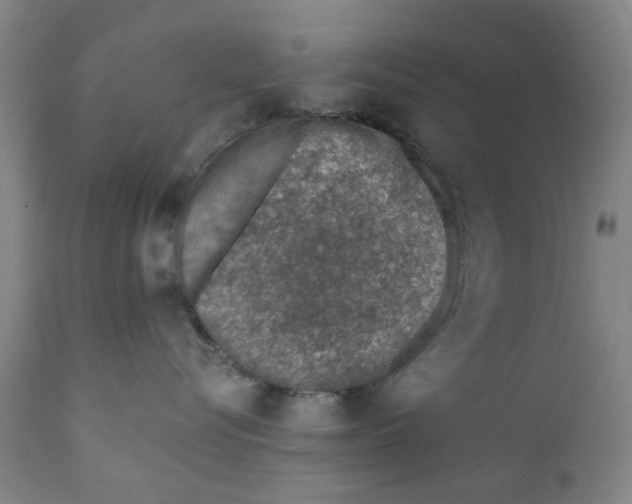 X0000111130576200907211117