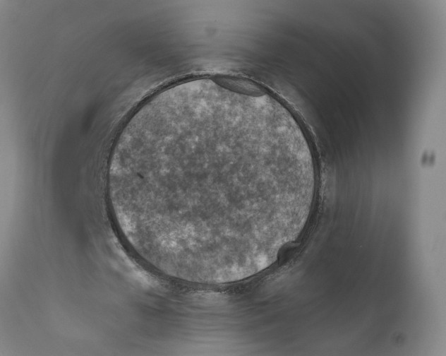 X0000111130577200907211116