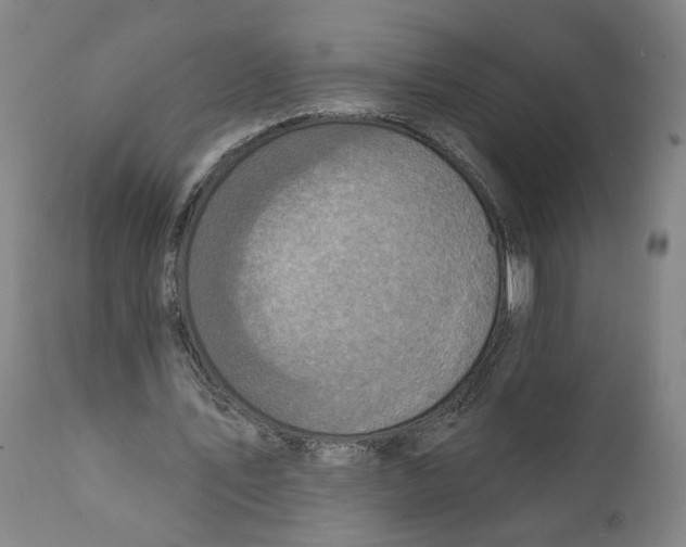X0000111130579200907211116