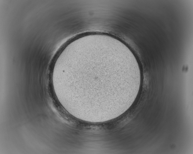 X0000111130580200907211116