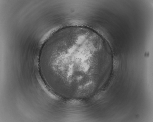 X0000111130581200907211116