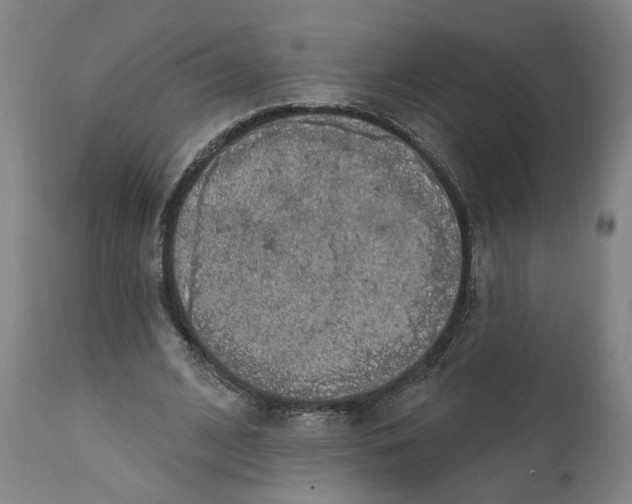 X0000111130584200907211116