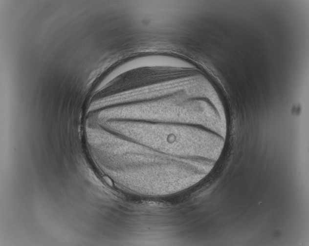 X0000111130585200907211116