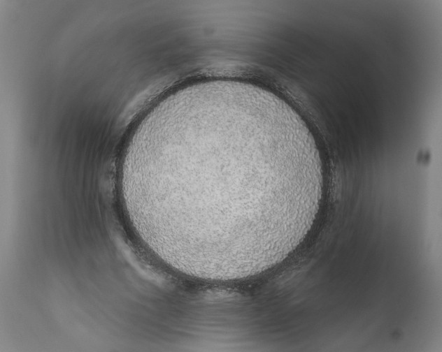 X0000111130586200907211116