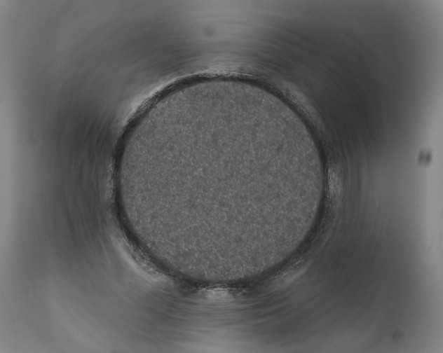X0000111130588200907211116