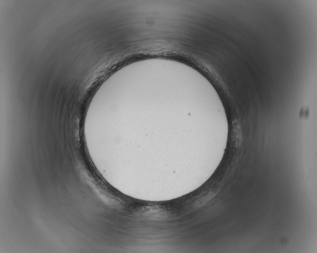 X0000111130589200907211116