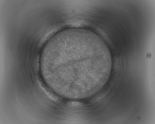 X0000111130590200907211116