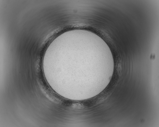 X0000111130591200907211116