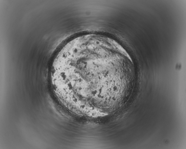 X0000111130592200907211116