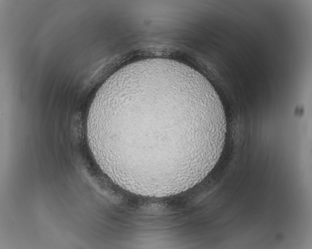 X0000111130594200907211116