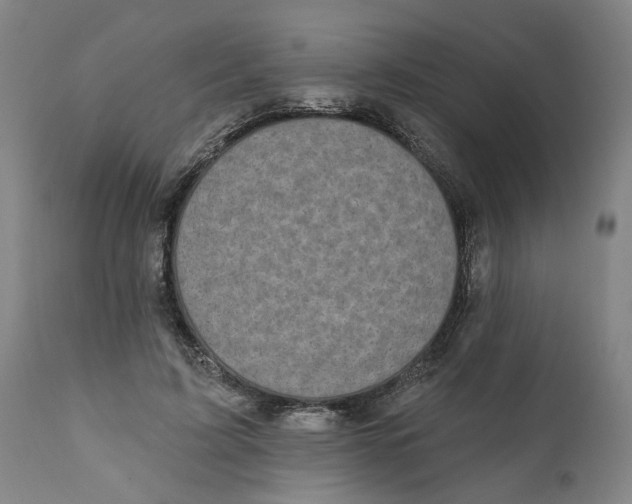 X0000111130595200907211116