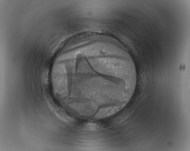 X0000111130596200907211116