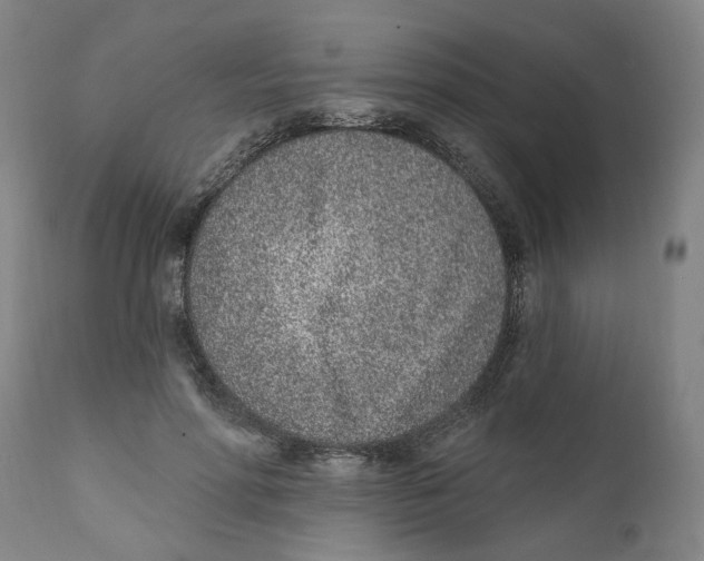 X0000111130598200907211116