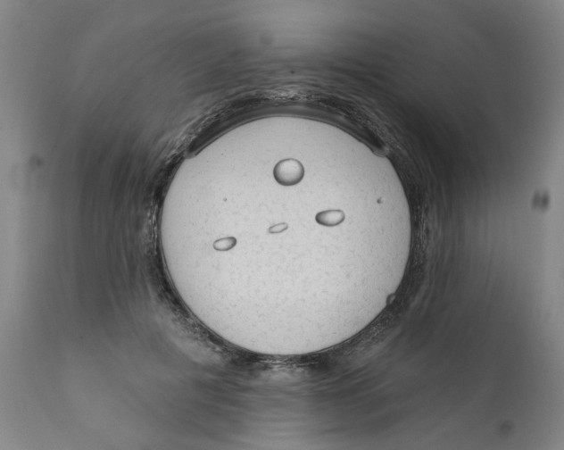 X0000111130601200907211116