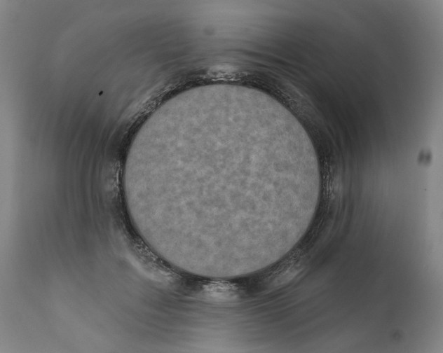 X0000111130603200907211116