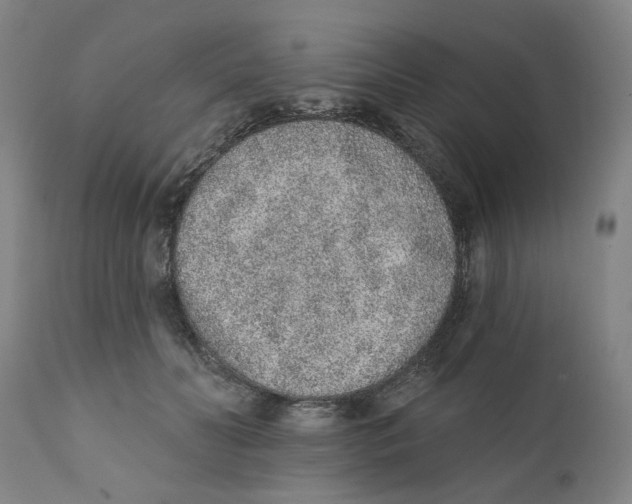 X0000111130606200907211116