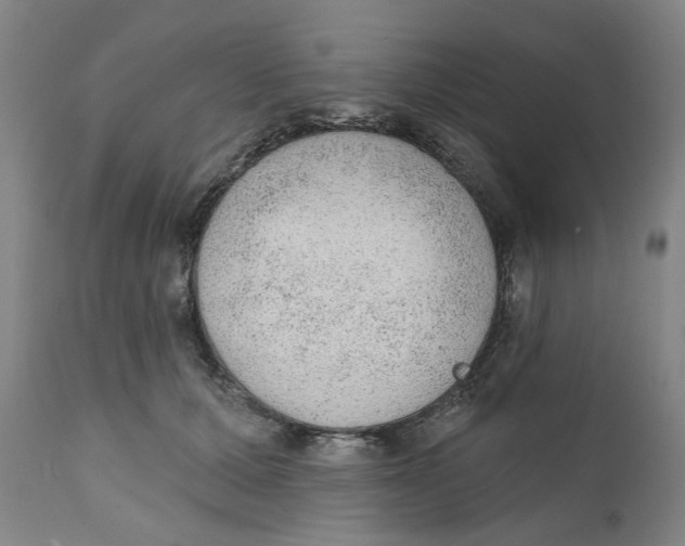 X0000111130607200907211116