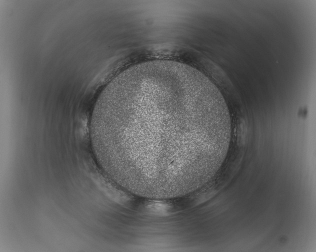 X0000111130610200907211116