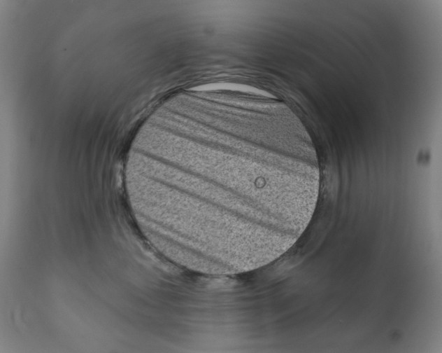 X0000111130621200907211116
