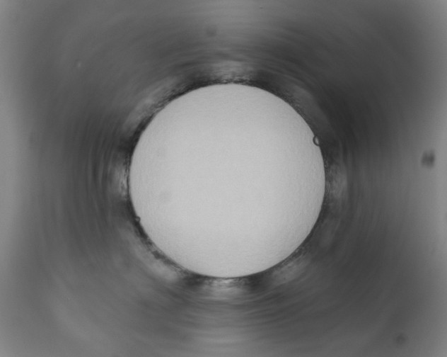 X0000111130622200907211116