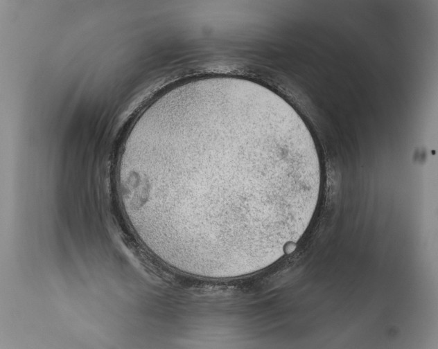 X0000111130626200907211115