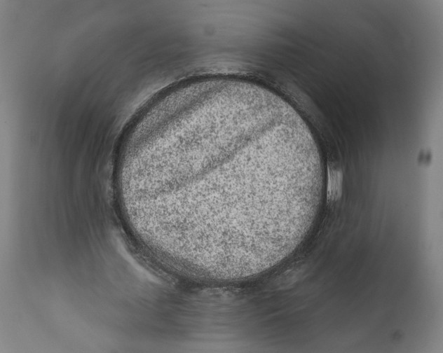X0000111130627200907211115