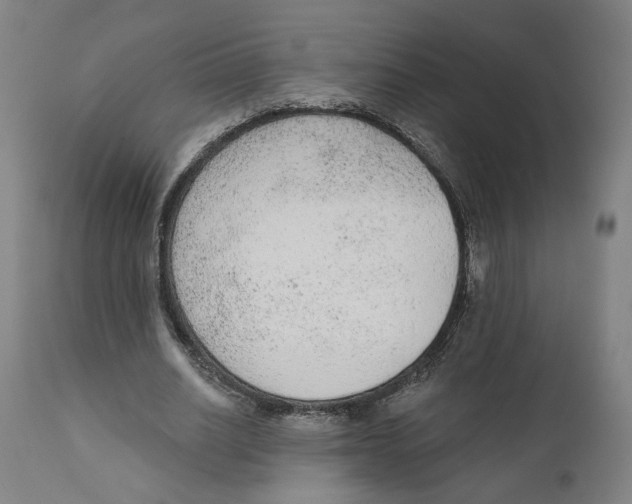 X0000111130630200907211115