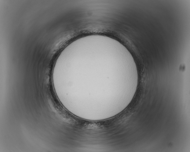 X0000111130635200907211115