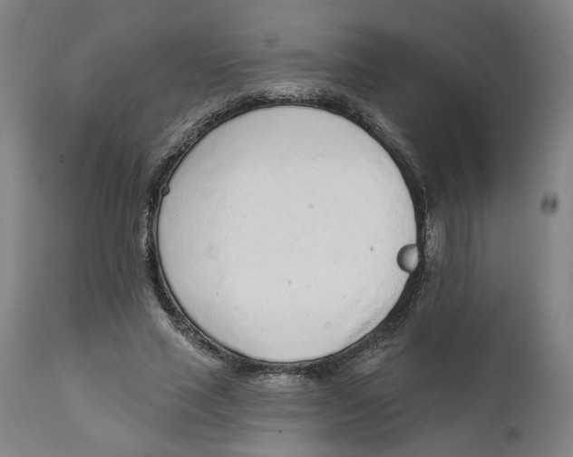 X0000111130637200907211115