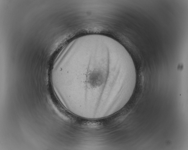 X0000111130638200907211115