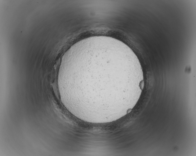X0000111130641200907211115