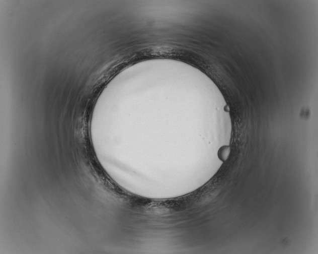 X0000111130648200907211115
