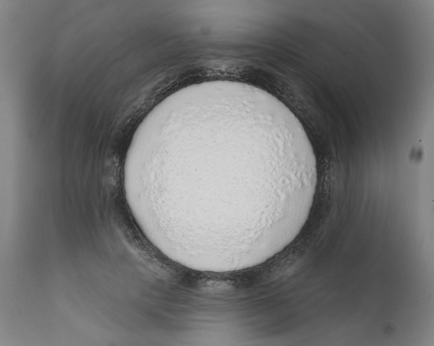 X0000111130649200907211115