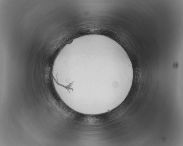 X0000111130650200907211115