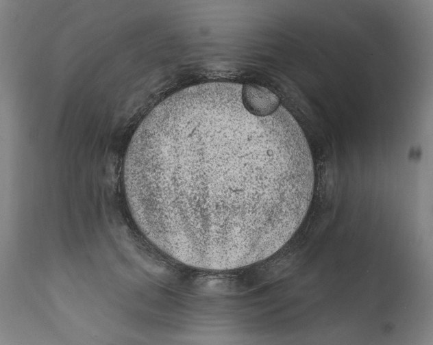 X0000111130655200907211115