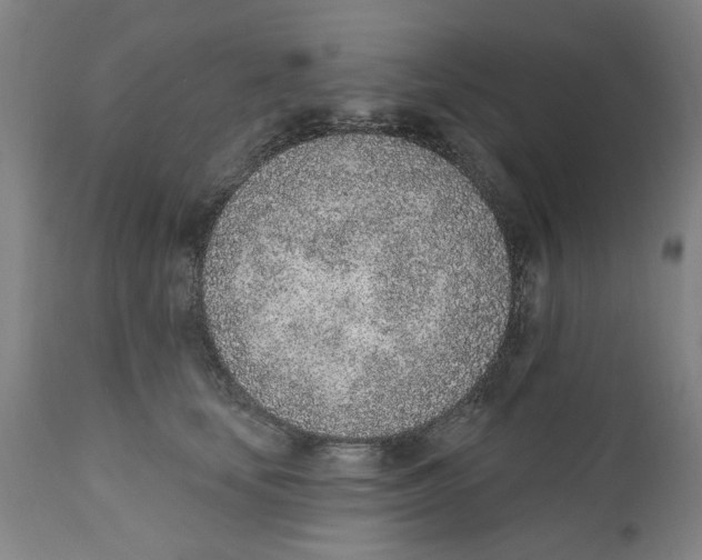 X0000111130659200907211115