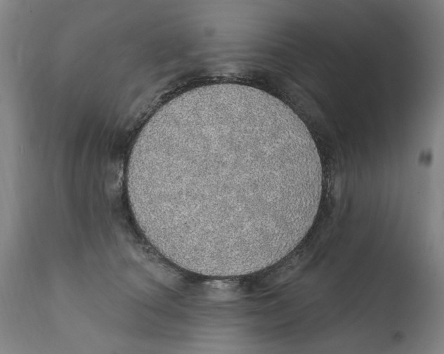 X0000111130660200907211115