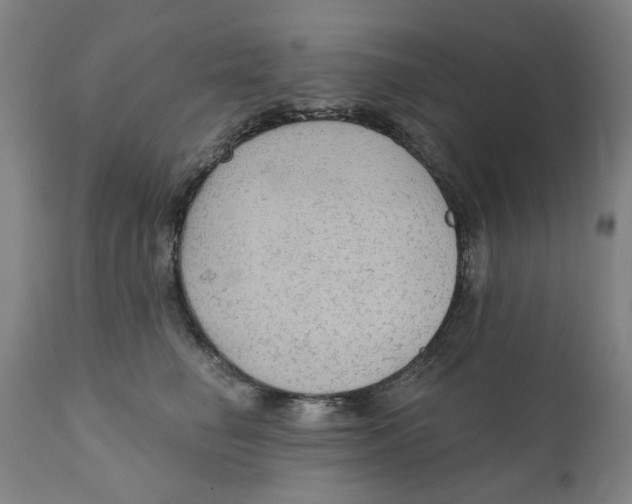 X0000111130662200907211116