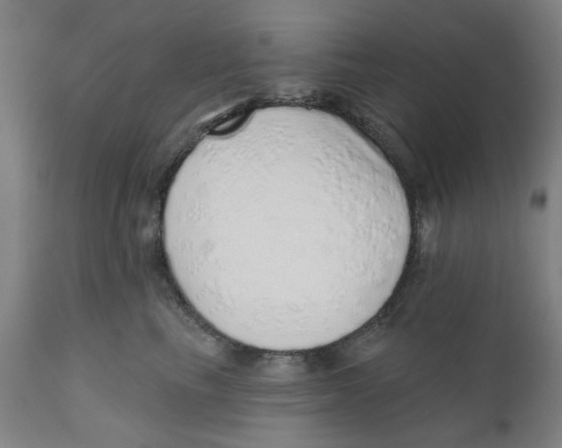 X0000111130665200907211116