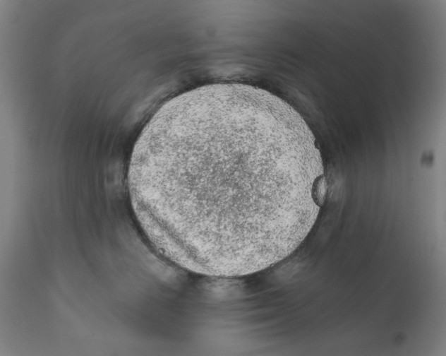 X0000111130670200907211116