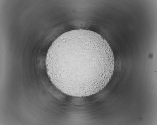X0000111130671200907211116