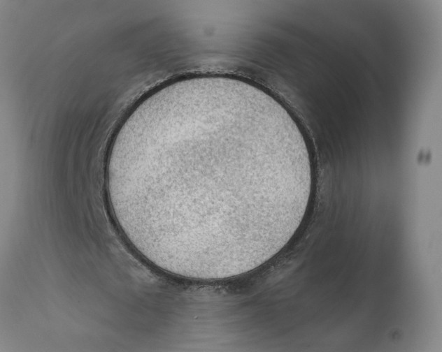 X0000111130673200907211115