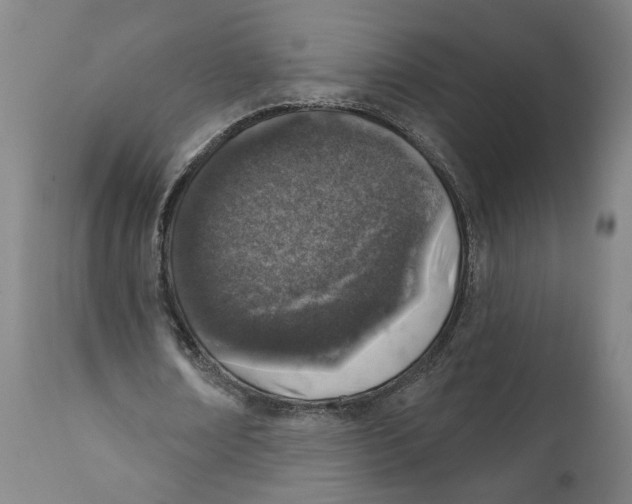 X0000111130674200907211115