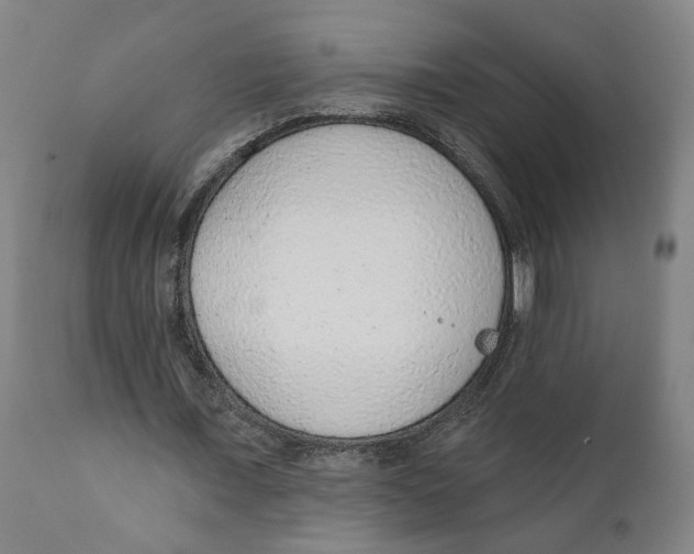 X0000111130675200907211115