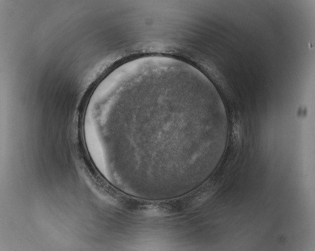 X0000111130678200907211115