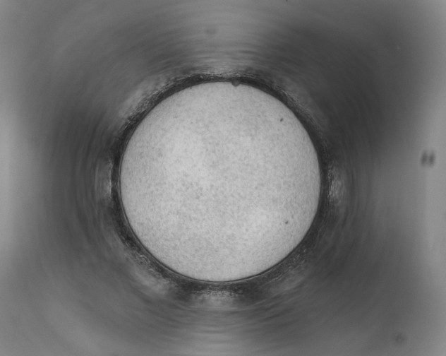 X0000111130685200907211115