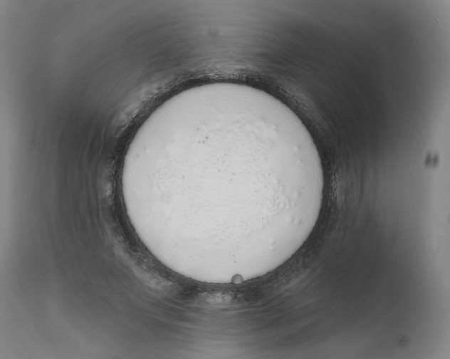 X0000111130687200907211115